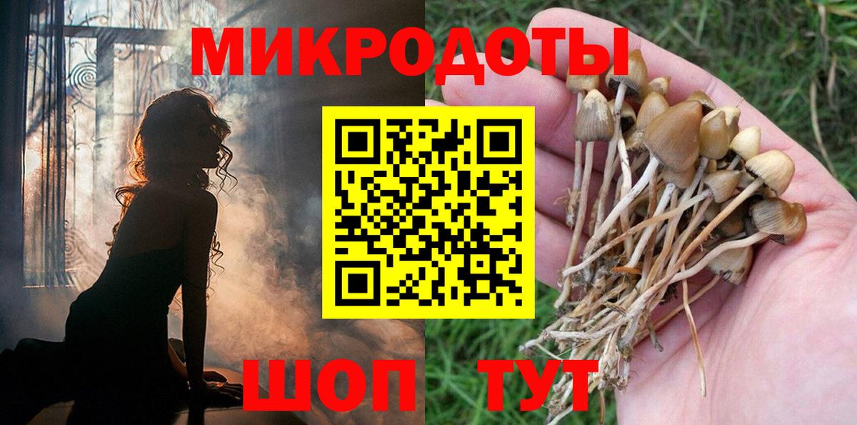 Галлюциногенные грибы Magic Shrooms Нальчик