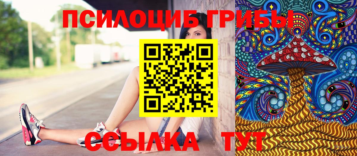 Псилоцибиновые грибы Psilocybe  даркнет сайт  Нальчик  Вход с VPN 